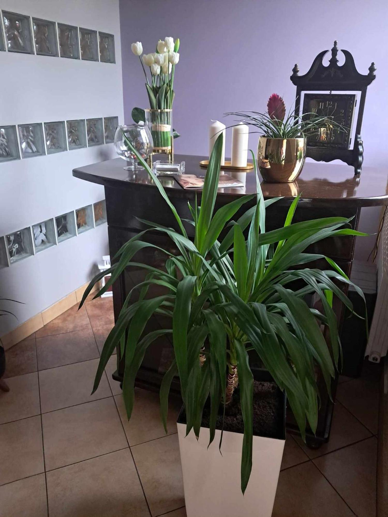 Cottage Room- Agroturystyka Strzegowo-Osada ภายนอก รูปภาพ